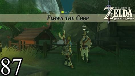 breath of the wild flown the coop.